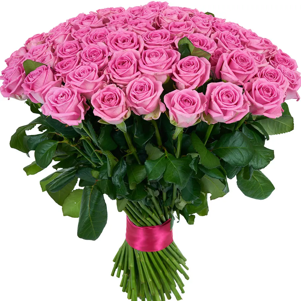 Букет из 51 розовой розы (пр-во Россия)