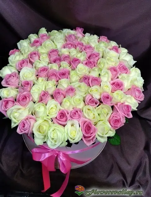 101 бело-розовая роза в коробке. Фото 3.