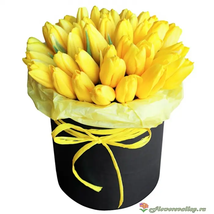 Желтые тюльпаны в коробке, 35 шт.