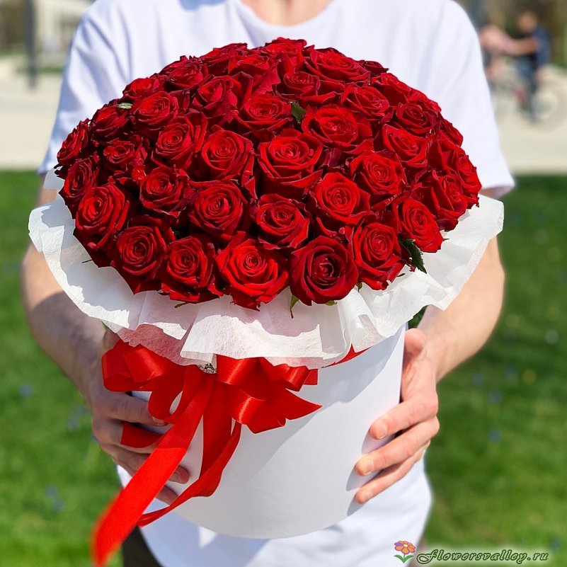 51 красная роза  в коробке
