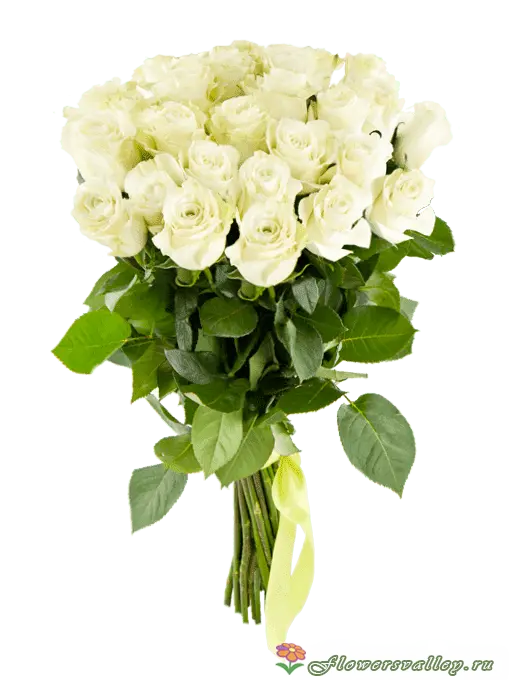 Букет из 15 белых роз (пр-во Эквадор, сорт 