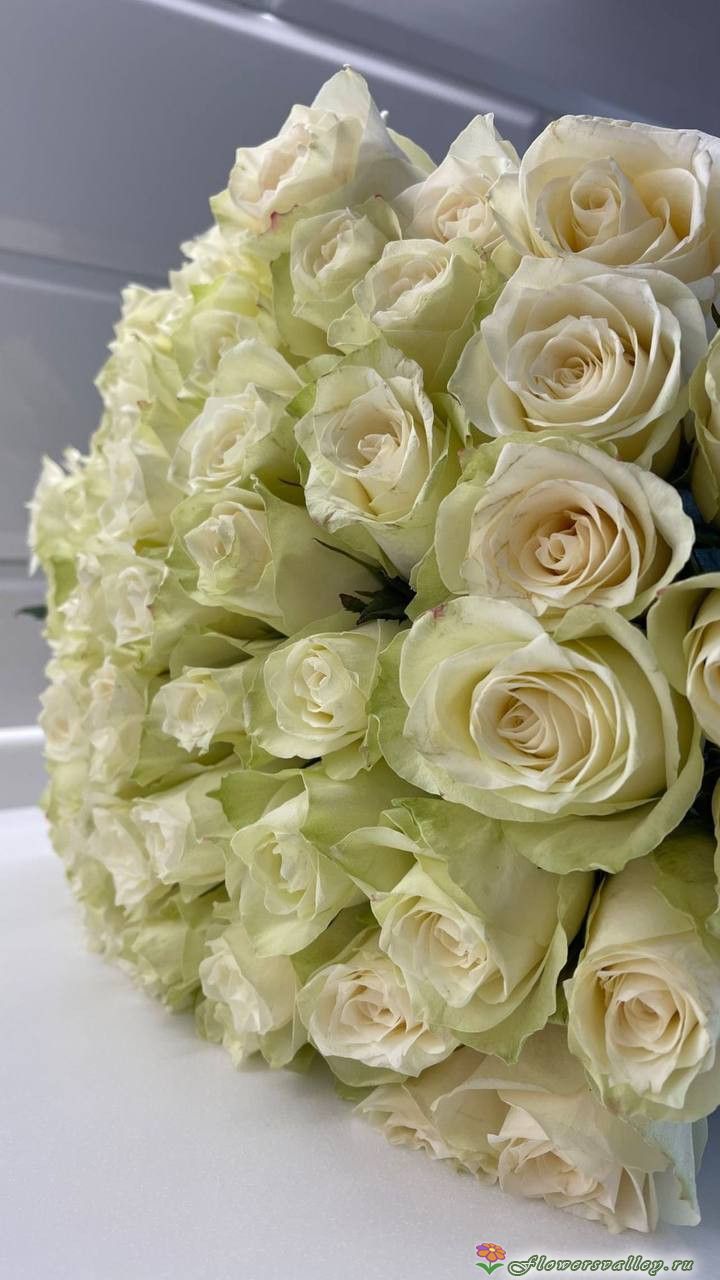 Букет из 25 белых роз (пр-во Эквадор, сорт "Мондиаль")