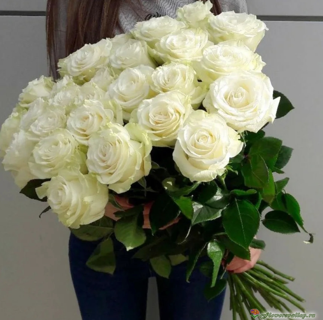 Букет из 25 белых роз (пр-во Эквадор, сорт 
