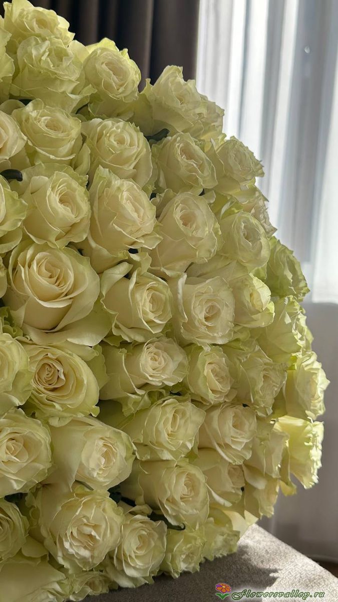 Букет из  белых роз (пр-во Эквадор, сорт "Мондиаль")