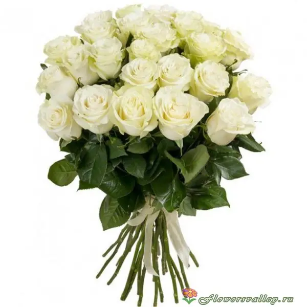 Купить букет из 35 роз, заказать букет 35 роз с доставкой, доставка розы Екатеринбург,  купить недор