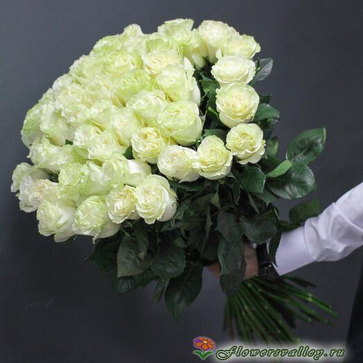 Букет из 51 белой розы (пр-во Эквадор, сорт 