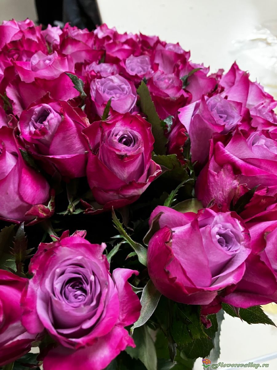 Букет  сиреневых роз, сорт "Deep Purple"