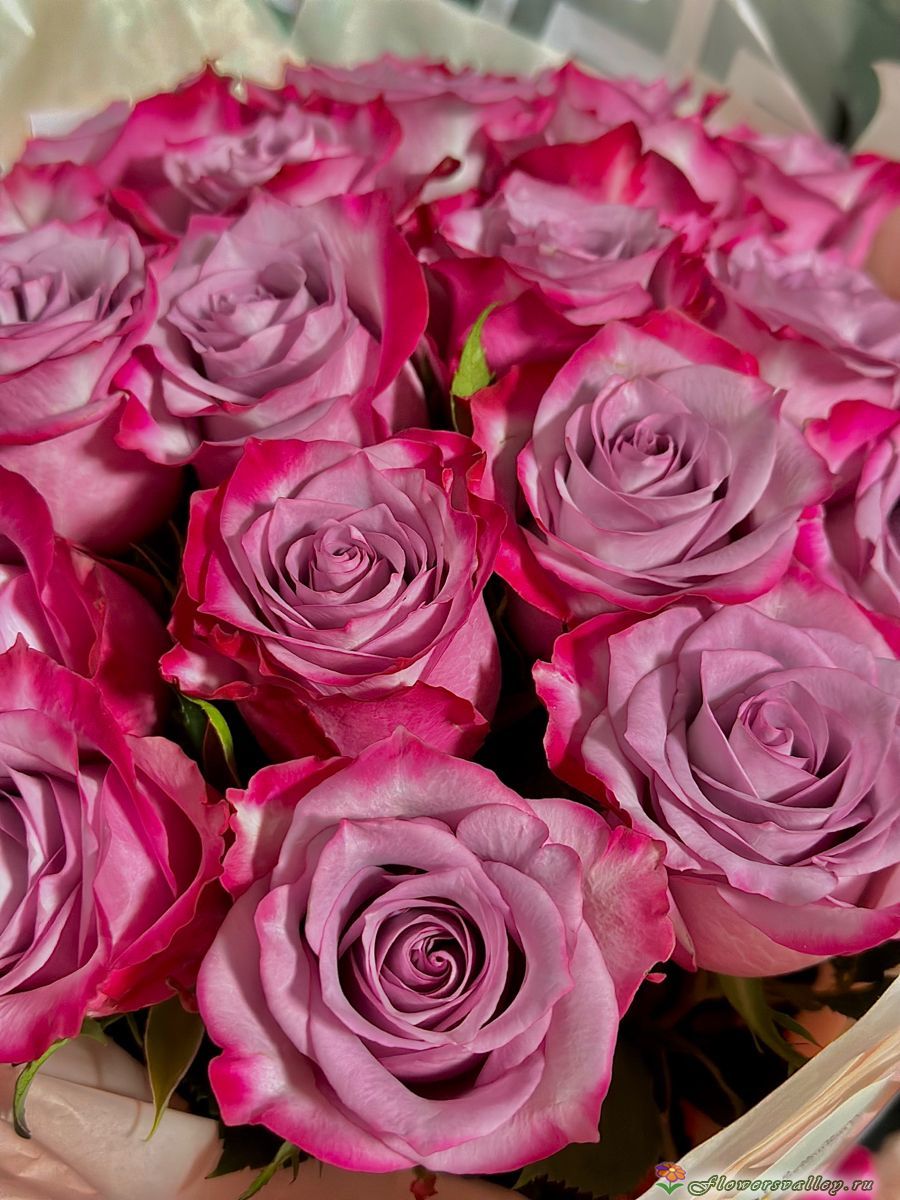 Букет  сиреневых роз, сорт "Deep Purple"