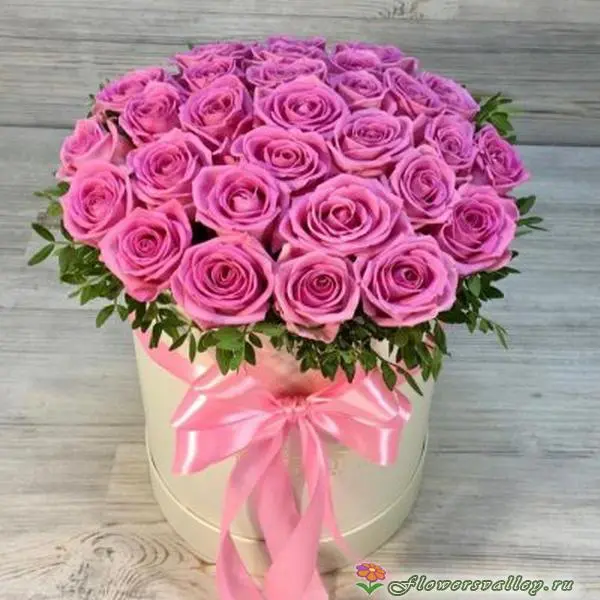 Розовые розы 25 шт. в коробке