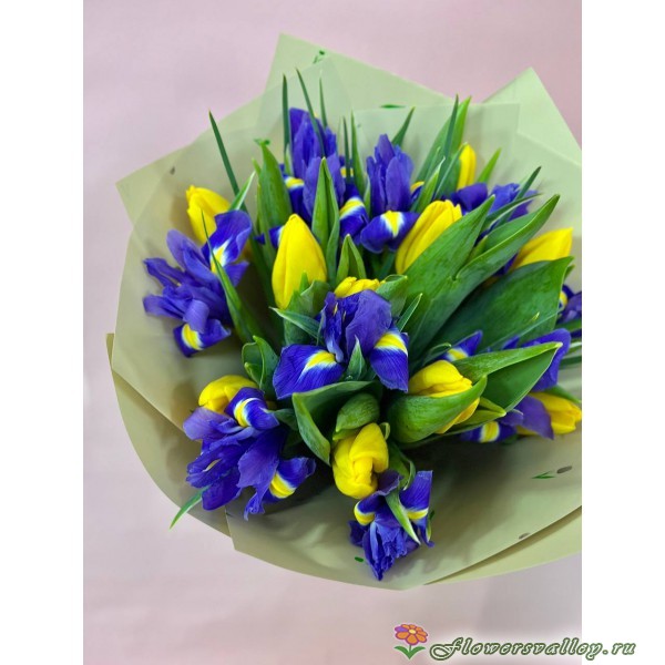 Букет из 12 ирисов и 25 желтых тюльпанов