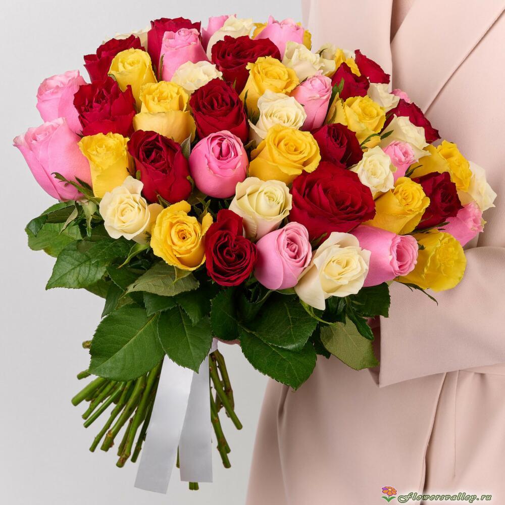 51 разноцветная роза