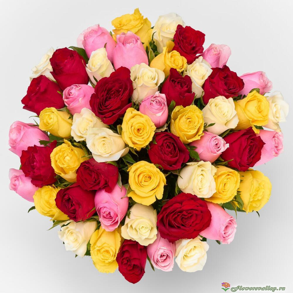 51 разноцветная роза