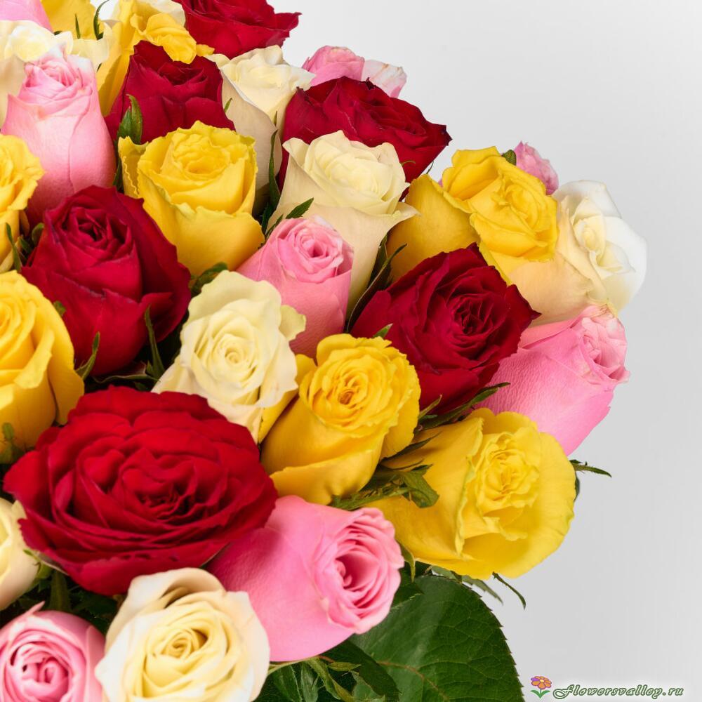 51 разноцветная роза