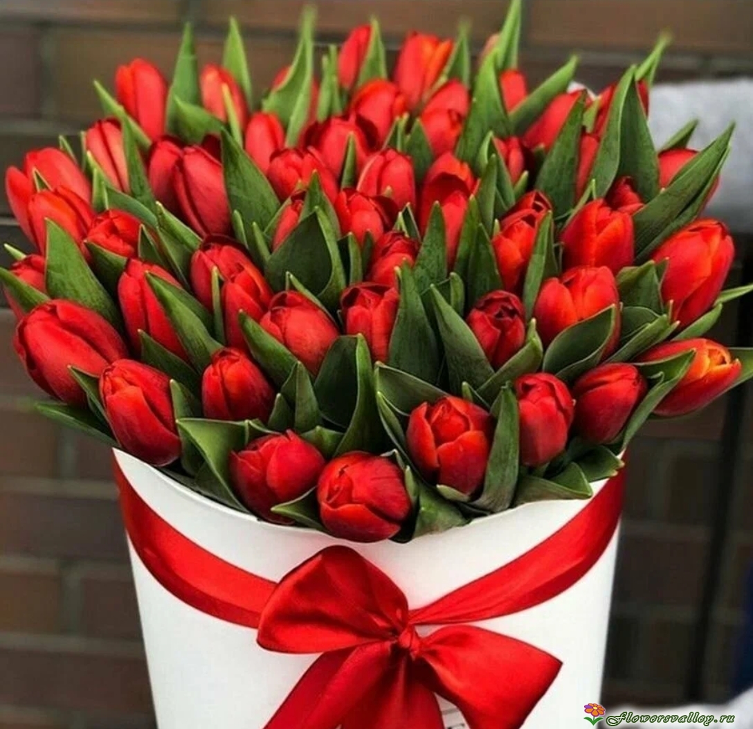 35 красных тюльпанов в коробочке