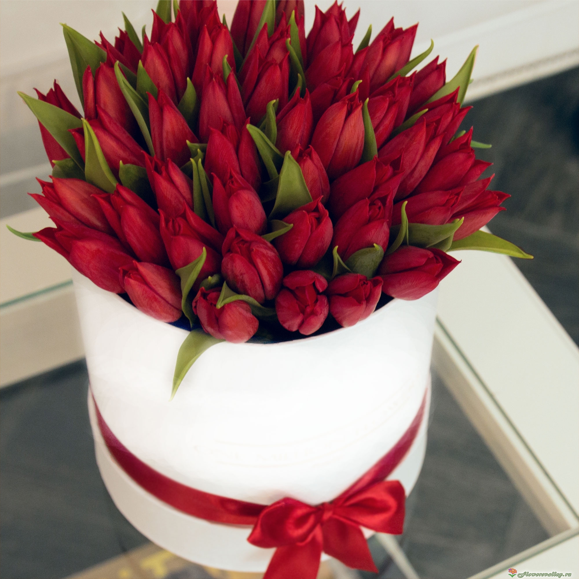 35 красных тюльпанов в коробочке
