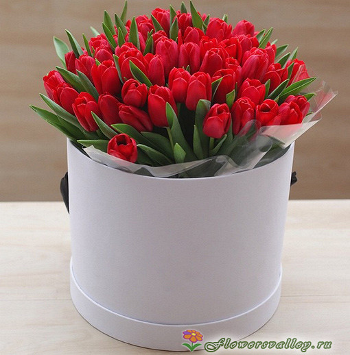 35 красных тюльпанов в коробочке