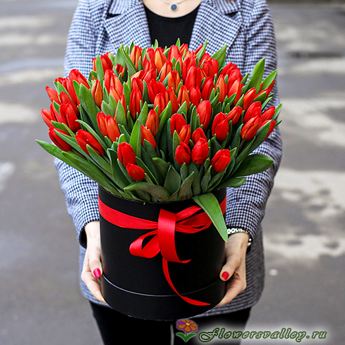 51 красный тюльпан в коробке