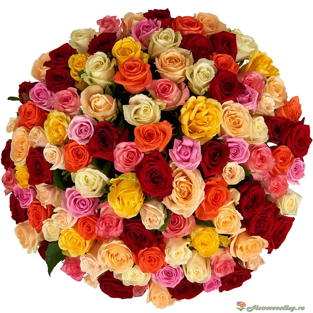 Букет из 101 разноцветной розы. Фото сверху