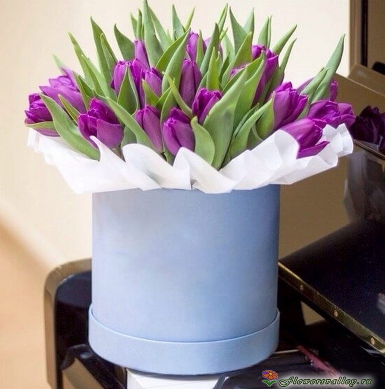 25 сиреневых тюльпанов в коробке
