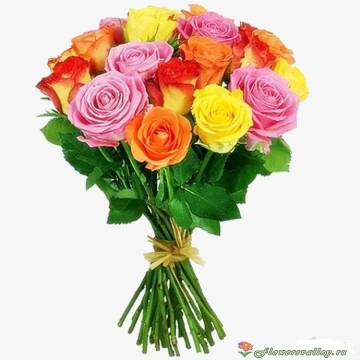 Букет из 15 разноцветных  роз (пр-во Эквадор)