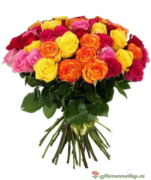 Букет из 51 разноцветной  розы (пр-во Эквадор)