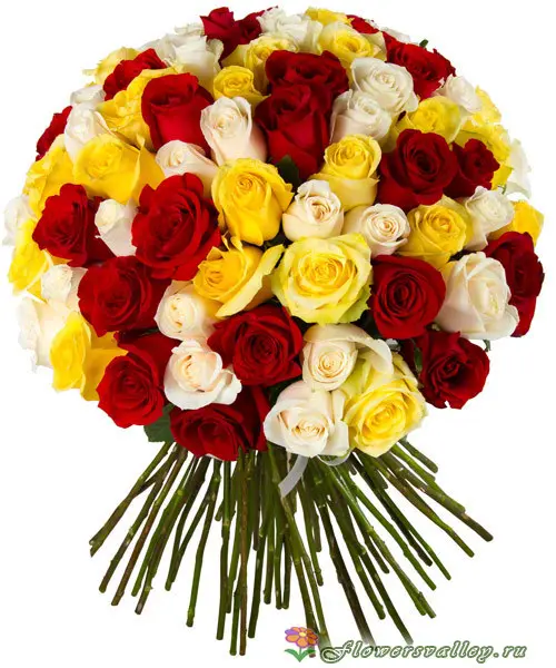 Букет из 101 разноцветной  розы (пр-во Эквадор)