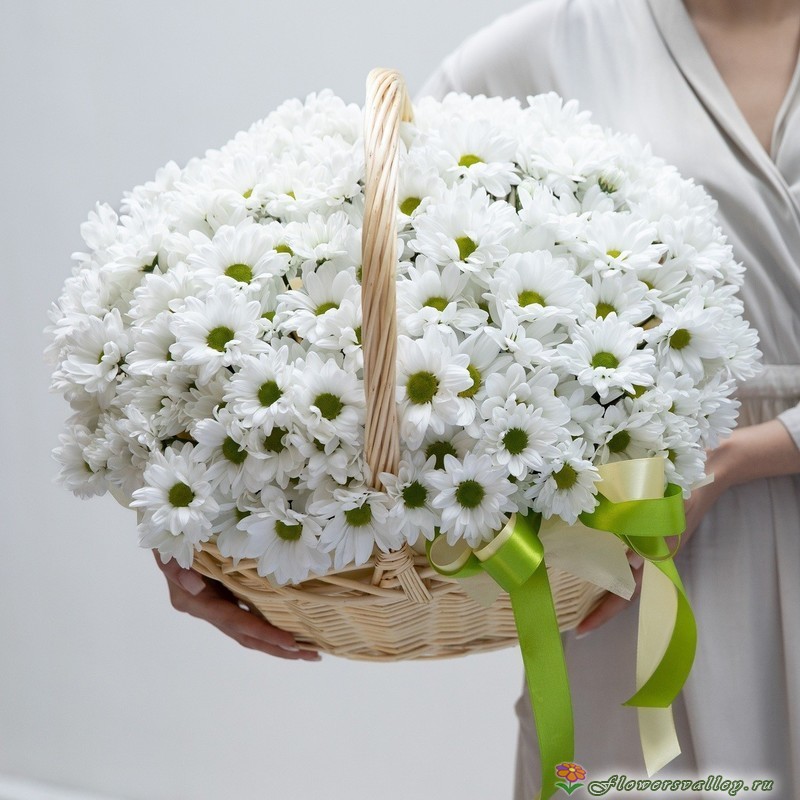 15 хризантем