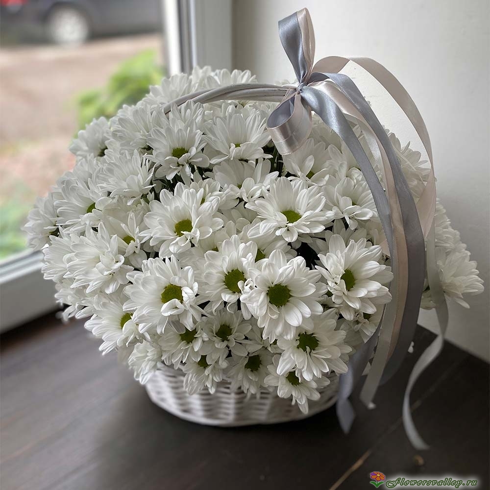 15 хризантем