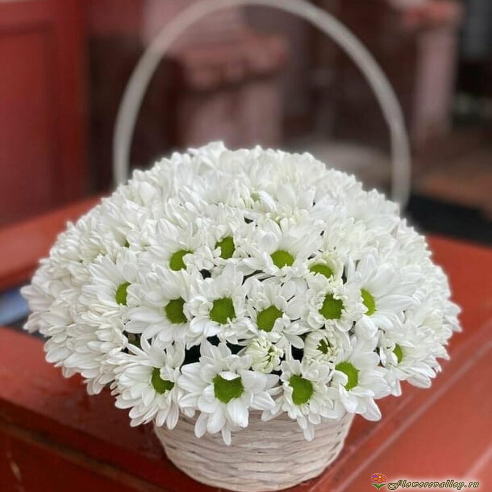 15 хризантем