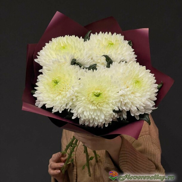 хризантема одноголовая 5 штук