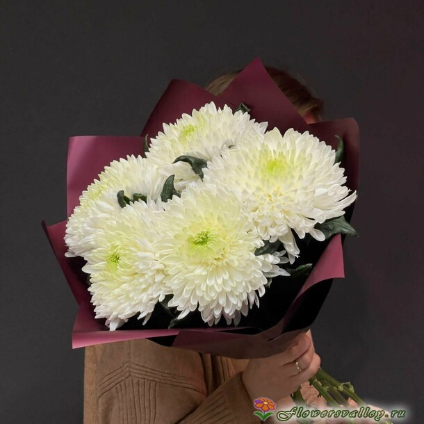 хризантема одноголовая 5 штук