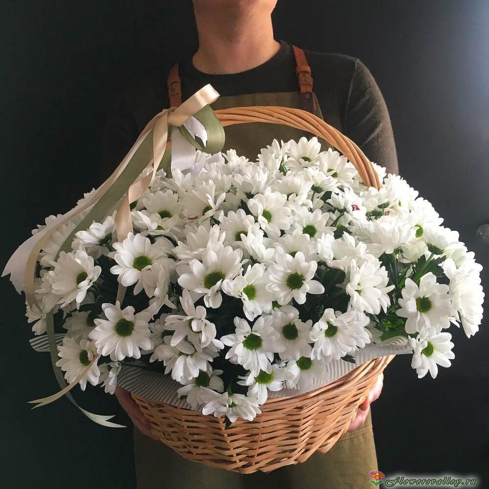 25 хризантем