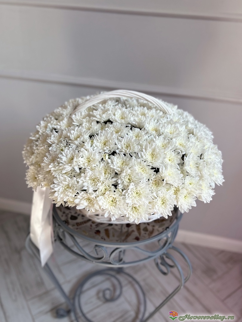 35 хризантем