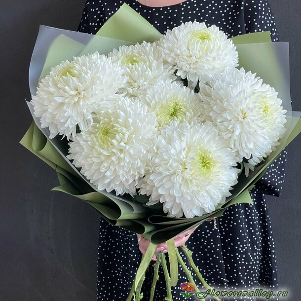 букет 7 хризантем одноголовых