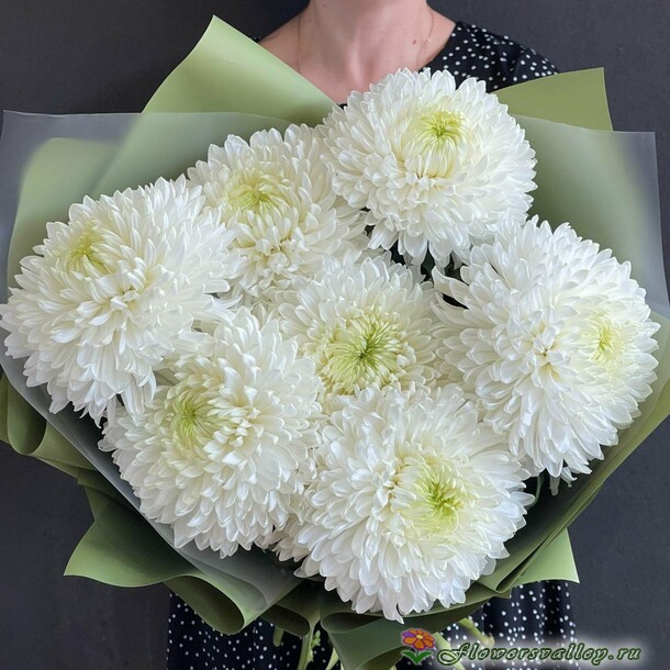 букет 7 хризантем одноголовых