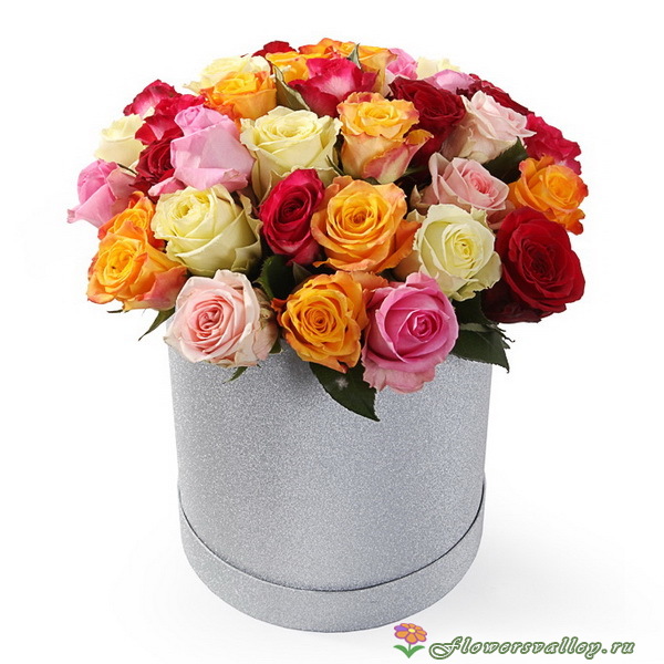 Коробка из 25 разноцветных роз
