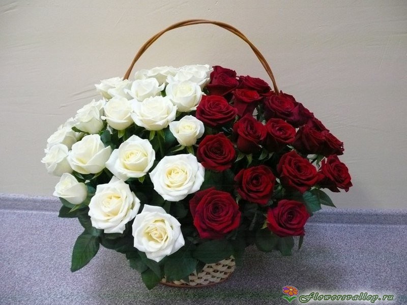 Корзина белых и красных роз 35 шт.