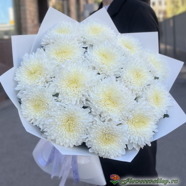 15 хризантем