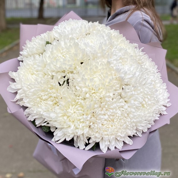 15 хризантем