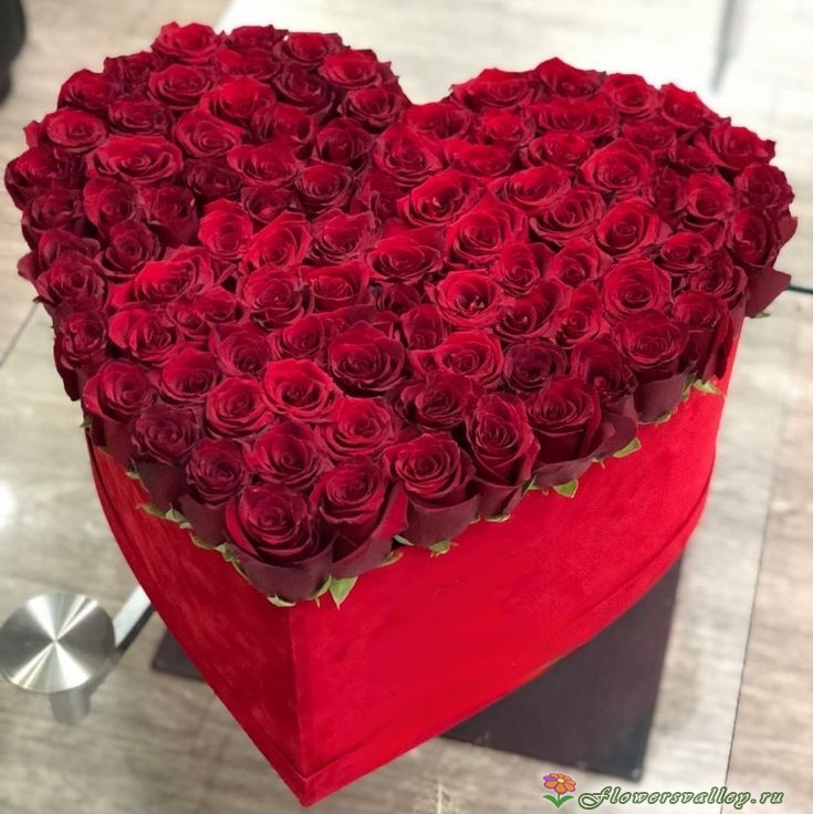 Сердце из 101 розы