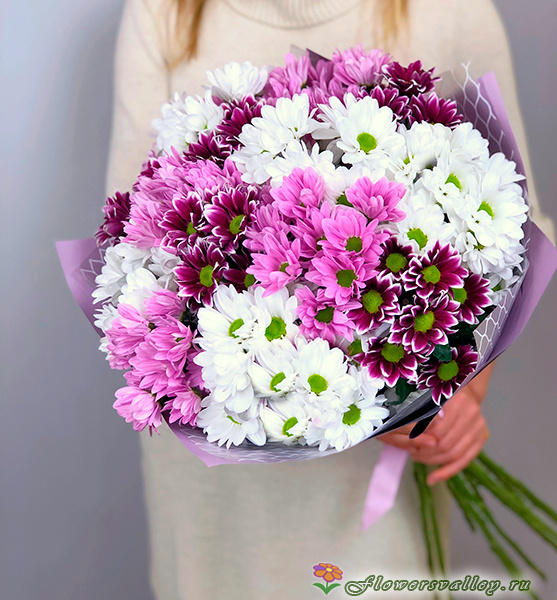 35 хризантем