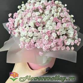 Шляпная коробка с розовой гипсофилой  3 шт 