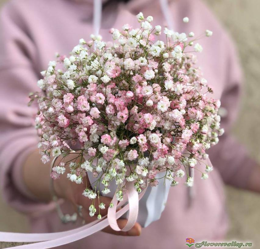 Шляпная коробка с розовой гипсофилой  3 шт 