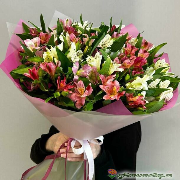 25 альстромерий