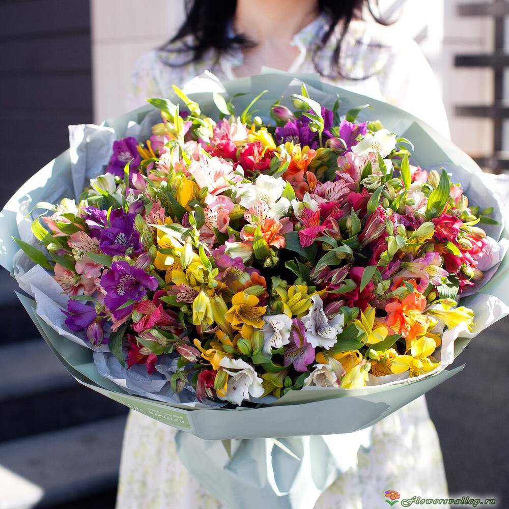 25 альстромерий