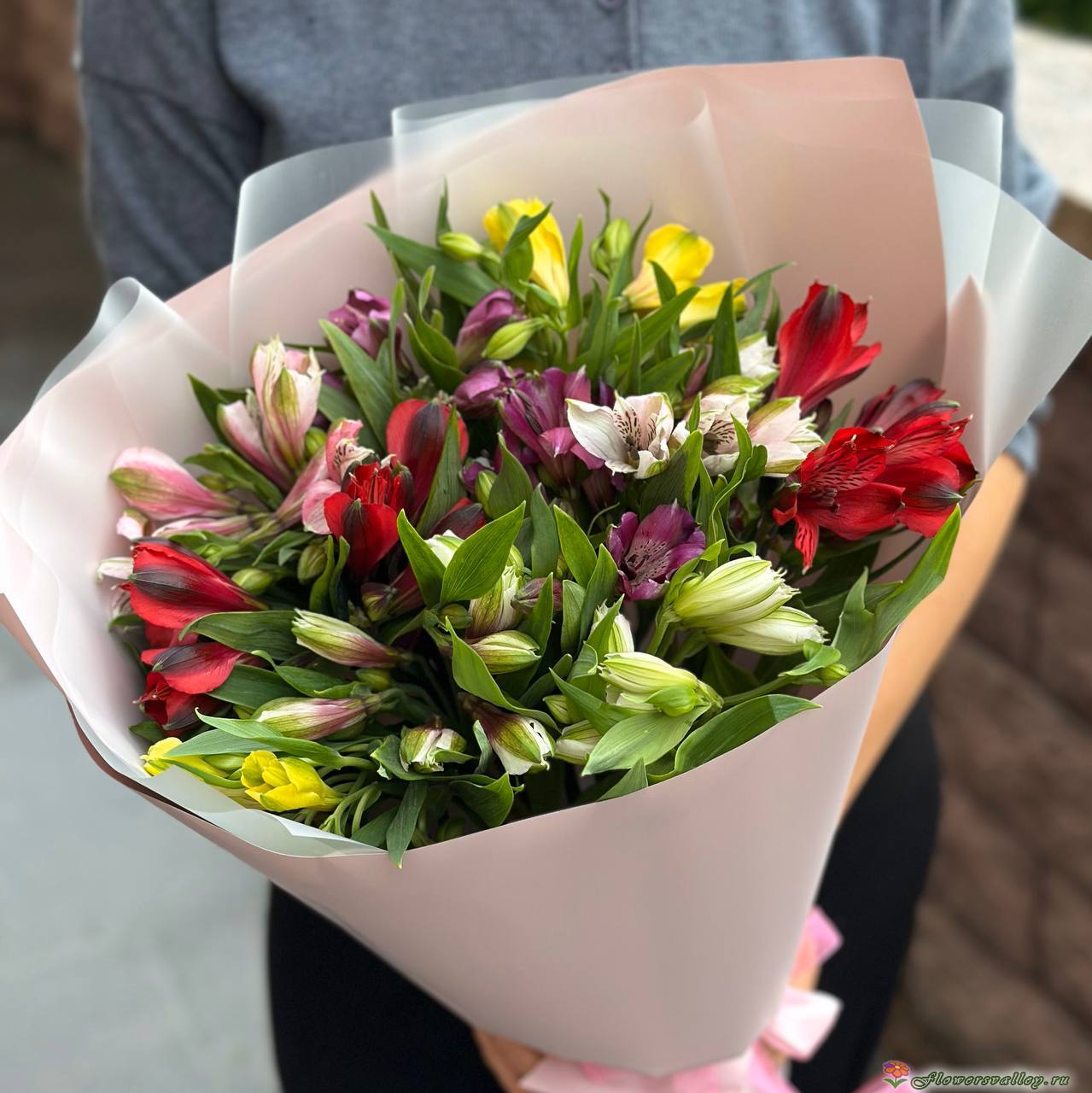 15 альстромерий