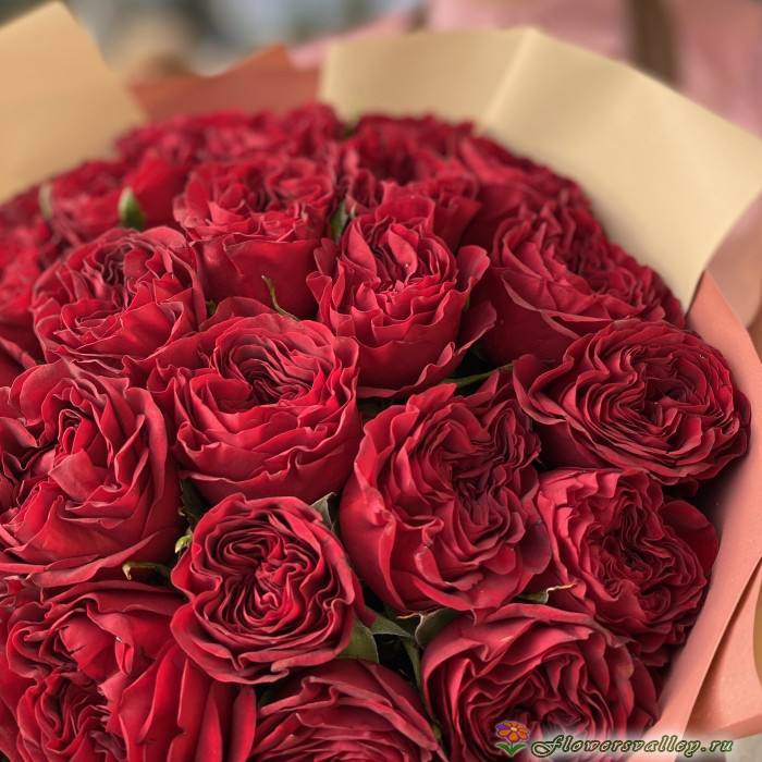 Букет из 25 пионовидных роз