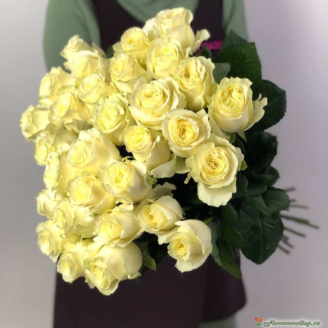 букет из 35 белых роз