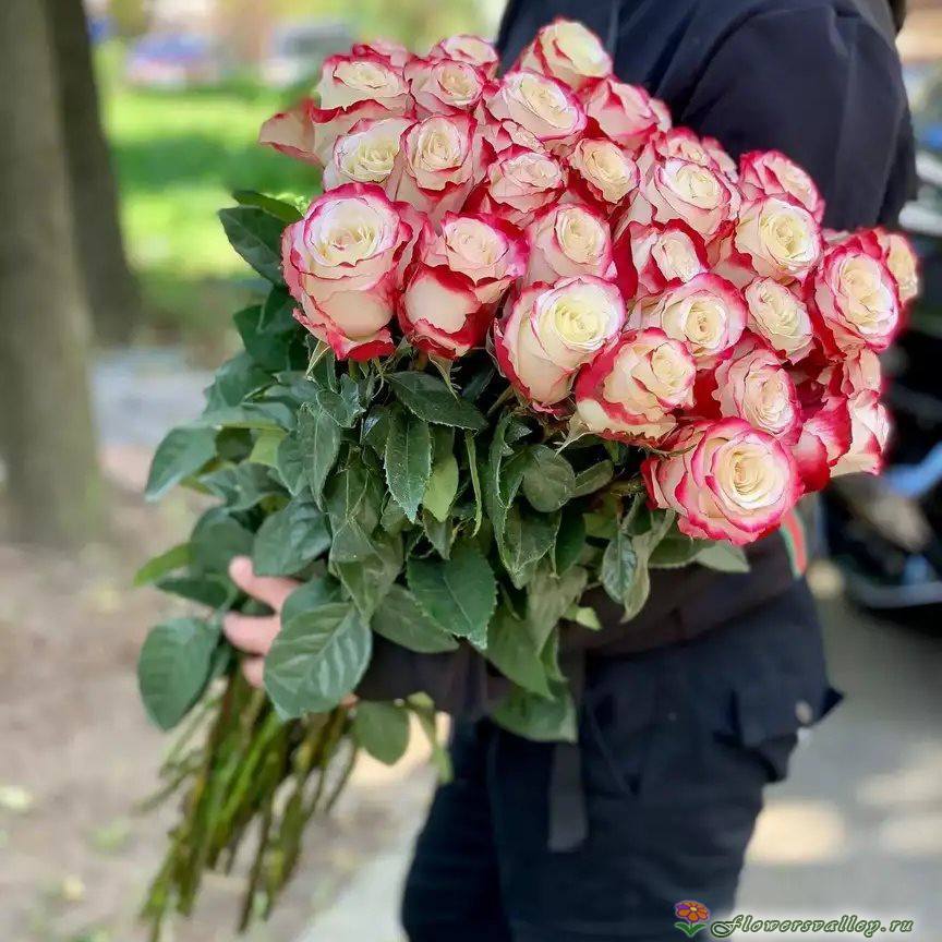 Букет из 25 бело-розовых роз (пр-во Эквадор, сорт "свитнесс")