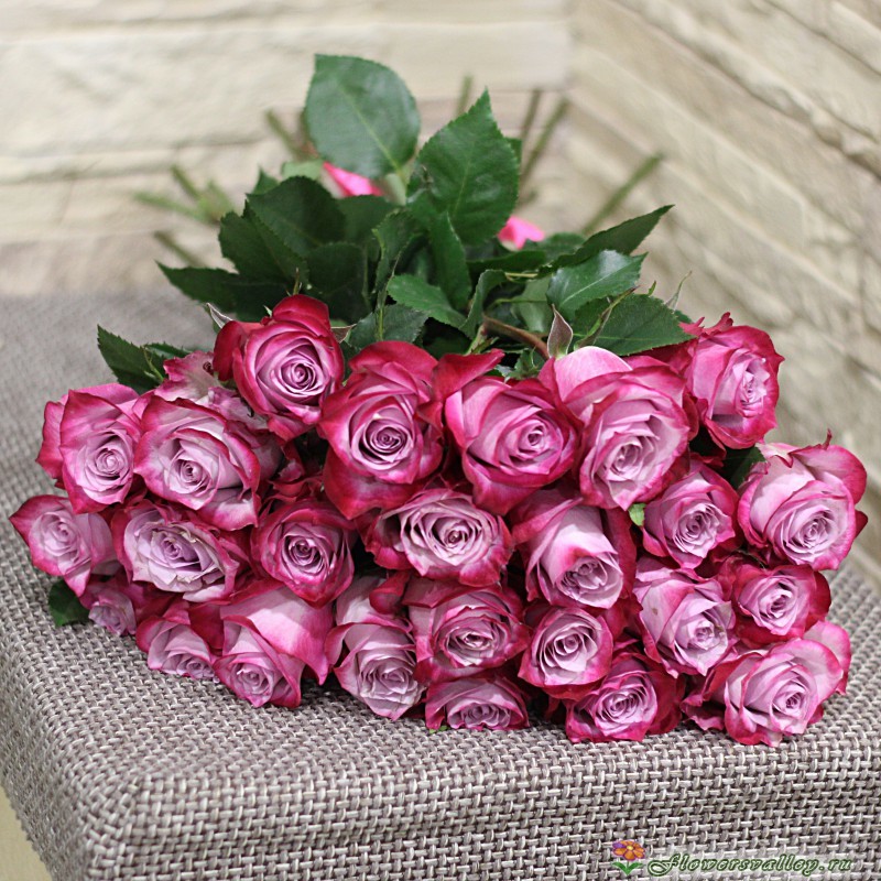 Букет из 15 сиреневых роз